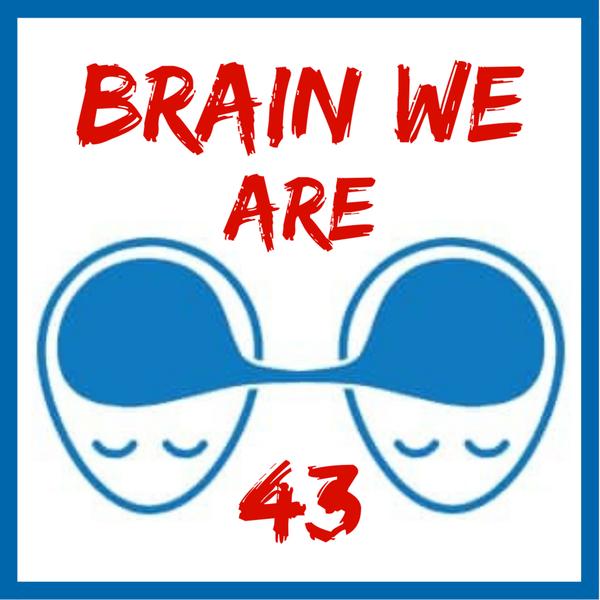 Brain We Are CZ